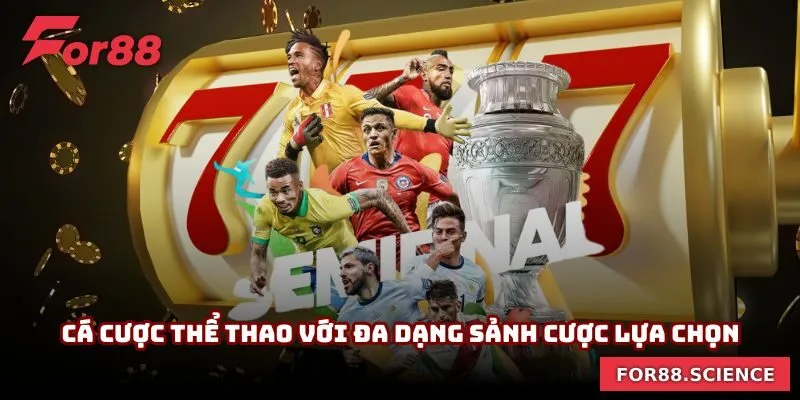 Cá cược thể thao với đa dạng sảnh cược lựa chọn