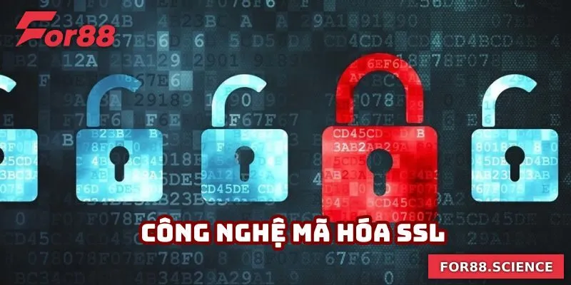 Quyền Riêng Tư For88 - Đảm Bảo Lợi Ích Và An Toàn Thông Tin 4 Mã hóa dữ liệu hiện đại theo quyền riêng tư For88