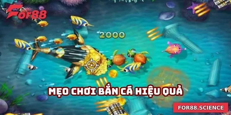 Mẹo Chơi Bắn Cá Thu Về Hàng Tỷ Lợi Nhuận Mỗi Ngày Cho Bạn 4 Mẹo Chơi Bắn Cá Thu Về Hàng Tỷ Lợi Nhuận Mỗi Ngày Cho Bạn