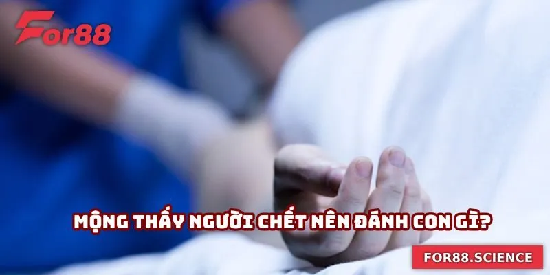 Mơ Thấy Người Chết - Giải Mã Ý Nghĩa Và Gợi Ý Số Tài Lộc 3 Mộng thấy người chết nên đánh con gì?